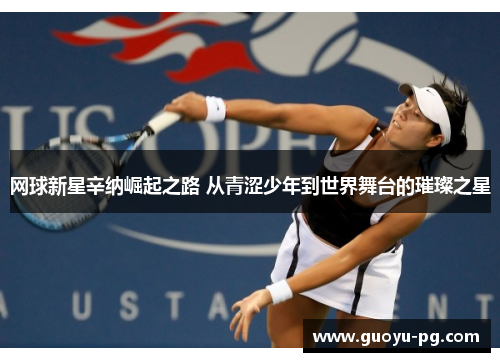 网球新星辛纳崛起之路 从青涩少年到世界舞台的璀璨之星