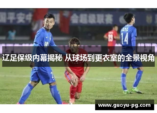 辽足保级内幕揭秘 从球场到更衣室的全景视角