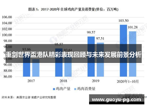 重剑世界盃港队精彩表现回顾与未来发展前景分析
