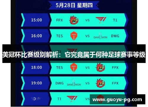 美冠杯比赛级别解析：它究竟属于何种足球赛事等级