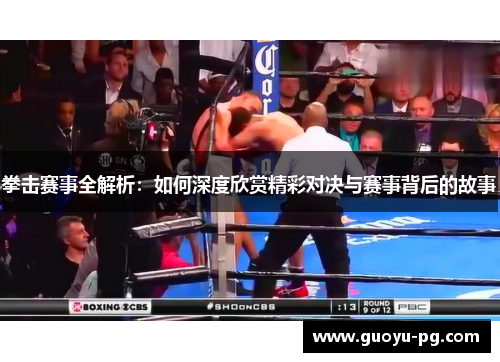 拳击赛事全解析：如何深度欣赏精彩对决与赛事背后的故事