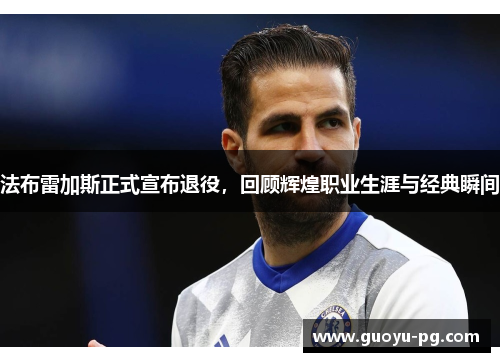 法布雷加斯正式宣布退役，回顾辉煌职业生涯与经典瞬间